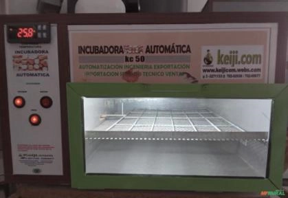INCUBADORA AUTOMÁTICA / NACEDORA DE 50 HUEVOS Imagem INCUBADORA AUTOMÁTICA / NACEDORA DE 50 HUEVOS