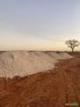 Gesso Agrícola Imagem Gesso Agrícola