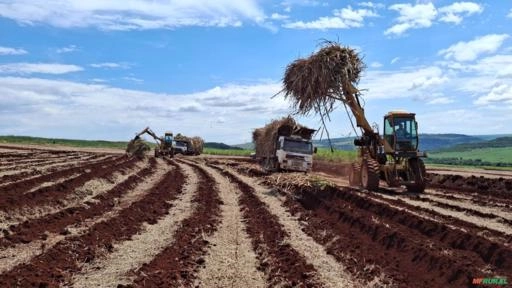 Prestação de serviço de Plantio de cana Imagem Prestação de serviço de Plantio de cana