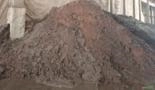 Varredura de Fertilizantes NPK a Granel - Alto Teor Nutricional Imagem Varredura de Fertilizantes NPK a Granel - Alto Teor Nutricional