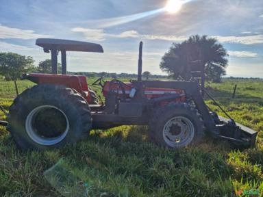 Trator Massey Ferguson 297 Imagem Trator Massey Ferguson 297