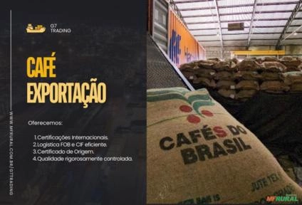 Café no Atacado para Exportação Imagem Café no Atacado para Exportação