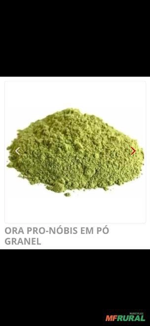 Ora-pro-nóbis em pó – 1 kg Imagem Ora-pro-nóbis em pó – 1 kg