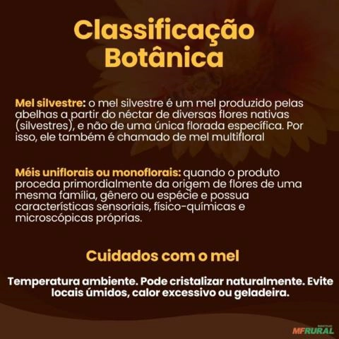 Mel Rrrossee Mel Silvestre em Igarapé MG à venda. Compre direto do vendedor 906506