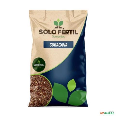 CAPIM CORACANA CERTIFICADO 25kg Imagem CAPIM CORACANA CERTIFICADO 25kg