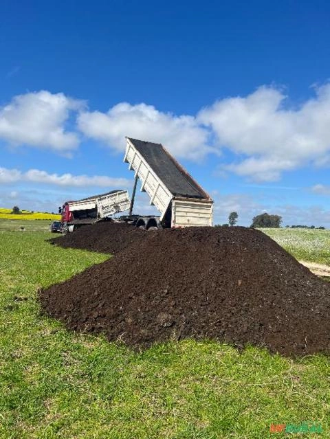 Esterco galinha poedeira Imagem Esterco galinha poedeira