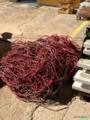 COMPRAMOS SUCATA DE FIOS E CABOS Imagem COMPRAMOS SUCATA DE FIOS E CABOS