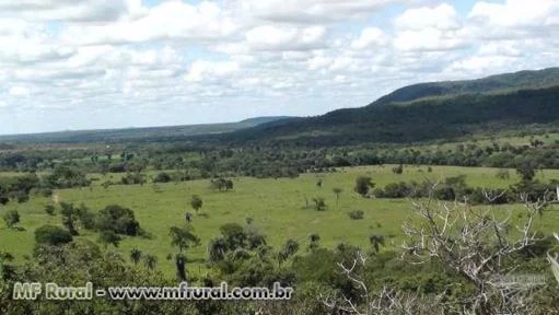 Fazenda Pasto dos Bois 125 km de Unaí e a 20 km de Uruana de Minas