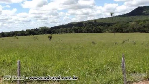 Fazenda Pasto dos Bois 125 km de Unaí e a 20 km de Uruana de Minas