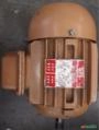 Motor Elétrico Trifásico WEG 1,5CV - 3420 RPM - Modelo 80/1090 Imagem Motor Elétrico Trifásico WEG 1,5CV - 3420 RPM - Modelo 80/1090