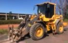 PÁ CARREGADEIRA VOLVO, MODELO L60F, ANO 2019, UNICO DONO, COM 14.000 HORAS TRABALHADAS Imagem PÁ CARREGADEIRA VOLVO, MODELO L60F, ANO 2019, UNICO DONO, COM 14.000 HORAS TRABALHADAS