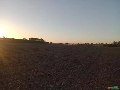 Procuro terras para arrendar Imagem Procuro terras para arrendar