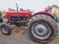 Trator Massey Fergusson MF 65X 1974 4 Marchas Imagem Trator Massey Fergusson MF 65X 1974 4 Marchas