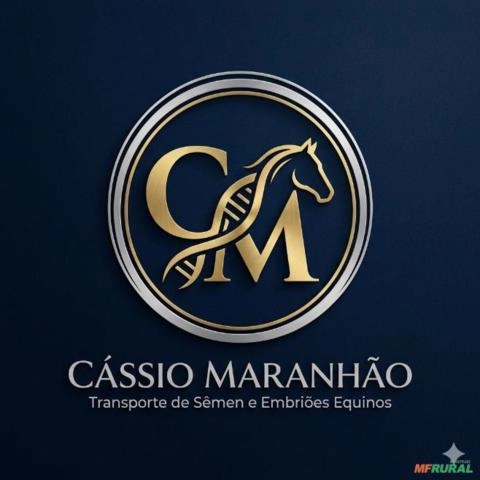 Transporte de Sêmen Equino e Bovino Imagem Transporte de Sêmen Equino e Bovino