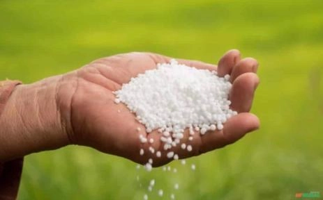 Ureia Agrícola — Nutrição que Faz Crescer Imagem Ureia Agrícola — Nutrição que Faz Crescer