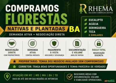 COMPRAMOS FLORESTAS NATIVAS E PLANTADAS – BA Imagem COMPRAMOS FLORESTAS NATIVAS E PLANTADAS – BA