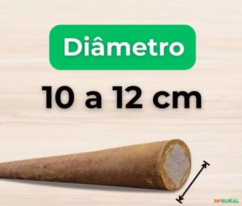 Mourão Imagem Mourão