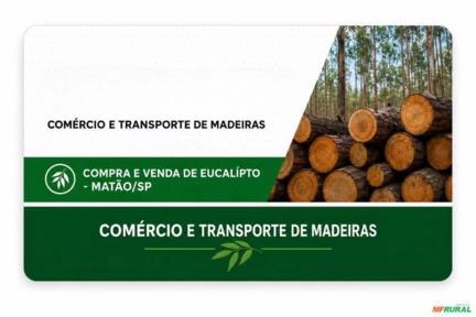 Compro Eucalipto Imagem Compro Eucalipto