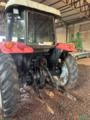Massey ferguson 283 ano 2008 Advanced Imagem Massey ferguson 283 ano 2008 Advanced