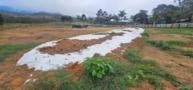 Silagem de Milho e Capim – Silo Fechado de 132 Toneladas Imagem Silagem de Milho e Capim – Silo Fechado de 132 Toneladas