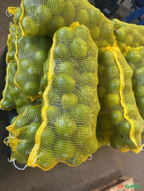 Laranja pera Imagem Laranja pera