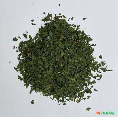 Salsa Desidratada Extra Imagem Salsa Desidratada Extra