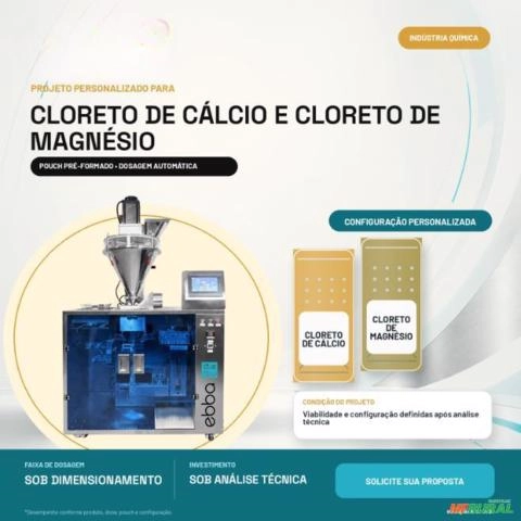 Envasadora de Cloreto de Cálcio e Magnésio em Pouch Ebbapack Imagem Envasadora de Cloreto de Cálcio e Magnésio em Pouch Ebbapack