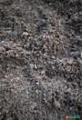 TERRA VEGETAL / COMPOSTO ORGÂNICO / SUBSTRATO Imagem TERRA VEGETAL / COMPOSTO ORGÂNICO / SUBSTRATO
