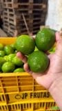 LIMÃO TAITI - MERCADO Imagem LIMÃO TAITI - MERCADO
