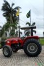 TRATOR MASSEY FERGUSON MF 4307 Imagem TRATOR MASSEY FERGUSON MF 4307