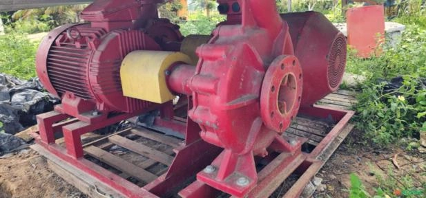 Conjunto Motobomba Centrífuga Industrial 100 CV Marathon Motors Novo Sem Uso Imagem Conjunto Motobomba Centrífuga Industrial 100 CV Marathon Motors Novo Sem Uso