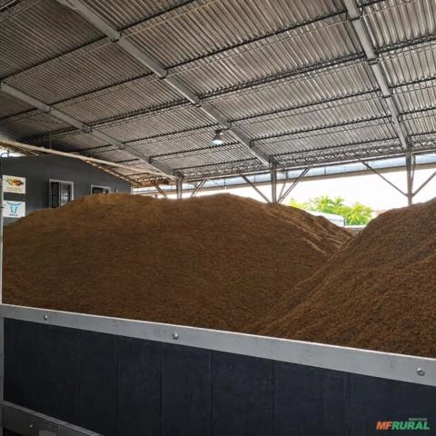 Casca de arroz de ótima qualidade Imagem Casca de arroz de ótima qualidade
