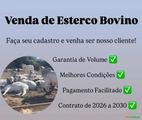Esterco Bovino Imagem Esterco Bovino