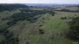 Área Rural para Venda, Arrendamento ou Parceria | GD, Pecuária e Investimentos | Cassilândia-MS Imagem Área Rural para Venda, Arrendamento ou Parceria | GD, Pecuária e Investimentos | Cassilândia-MS