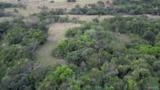 Área Rural para Venda, Arrendamento ou Parceria | GD, Pecuária e Investimentos | Cassilândia-MS Imagem Área Rural para Venda, Arrendamento ou Parceria | GD, Pecuária e Investimentos | Cassilândia-MS