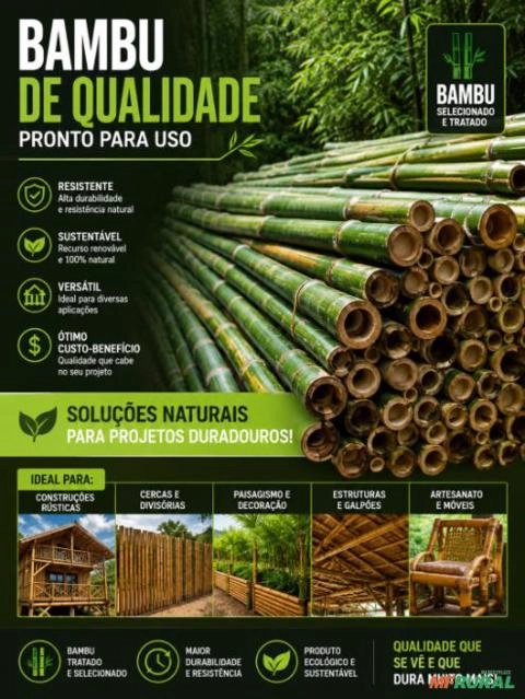 Bambu Imagem Bambu