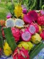 Mudas de Pitaya Imagem Mudas de Pitaya