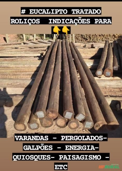 Eucalipto tratado/ Estaca para cercas Imagem Eucalipto tratado/ Estaca para cercas