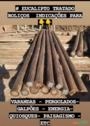 Eucalipto tratado/ Estaca para cercas Imagem Eucalipto tratado/ Estaca para cercas