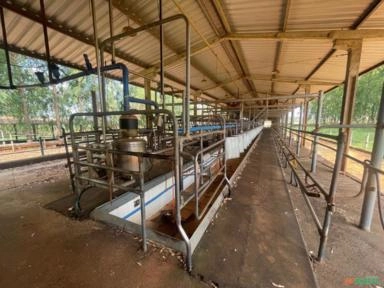 Ordenha DeLaval Completa Imagem Ordenha DeLaval Completa