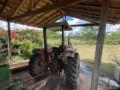 Trator Massey Ferguson MF 265/2 - Ano 1990 Imagem Trator Massey Ferguson MF 265/2 - Ano 1990