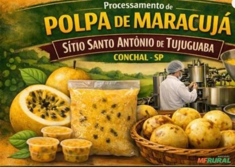 COMPRO MARACUJÁ FORA DO PADRÃO – Para Processamento de Polpa Imagem COMPRO MARACUJÁ FORA DO PADRÃO – Para Processamento de Polpa