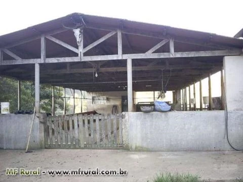 Vende-se Sítio de 26 Alqueires - Sul de Minas
