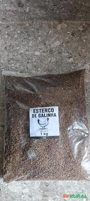 Esterco de Galinha Imagem Esterco de Galinha