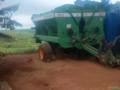 Bruttus Stara 12000 Imagem Bruttus Stara 12000