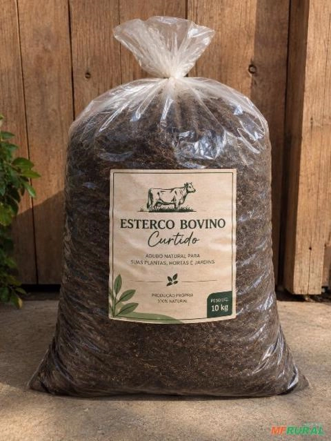 Esterco bovino Imagem Esterco bovino