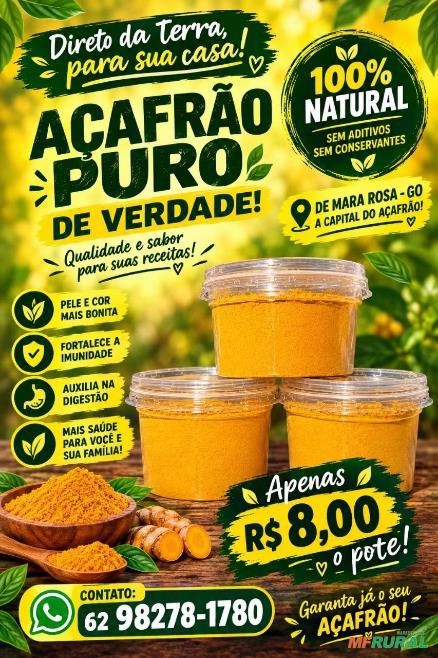 Açafrão Da Terra Em Pó 100% Puro Direto Do Produtor Potes de 40gr Imagem Açafrão Da Terra Em Pó 100% Puro Direto Do Produtor Potes de 40gr