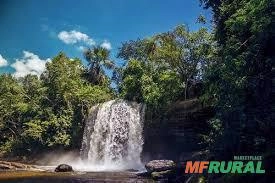 Arrendamento de Fazenda com 30 Hectares à Beira do Rio Itapecuru em Carolina – MA Imagem Arrendamento de Fazenda com 30 Hectares à Beira do Rio Itapecuru em Carolina – MA