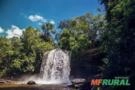 Arrendamento de Fazenda com 30 Hectares à Beira do Rio Itapecuru em Carolina – MA Imagem Arrendamento de Fazenda com 30 Hectares à Beira do Rio Itapecuru em Carolina – MA