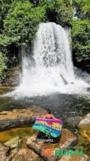 Arrendamento de Fazenda com 30 Hectares à Beira do Rio Itapecuru em Carolina – MA Imagem Arrendamento de Fazenda com 30 Hectares à Beira do Rio Itapecuru em Carolina – MA